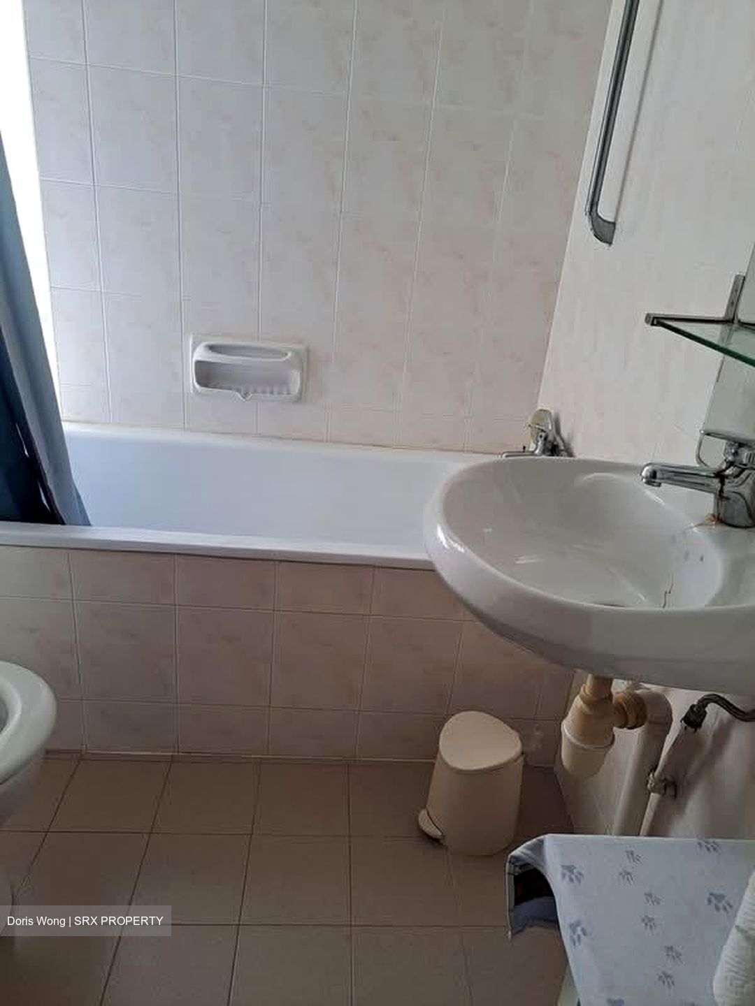 Pandan Valley (D21), Condominium #585438221